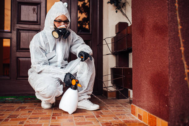Reliable Cockroach Control contractor in Manhattan Beach, CA by Nex Pest Control